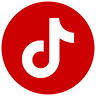 tiktok icon